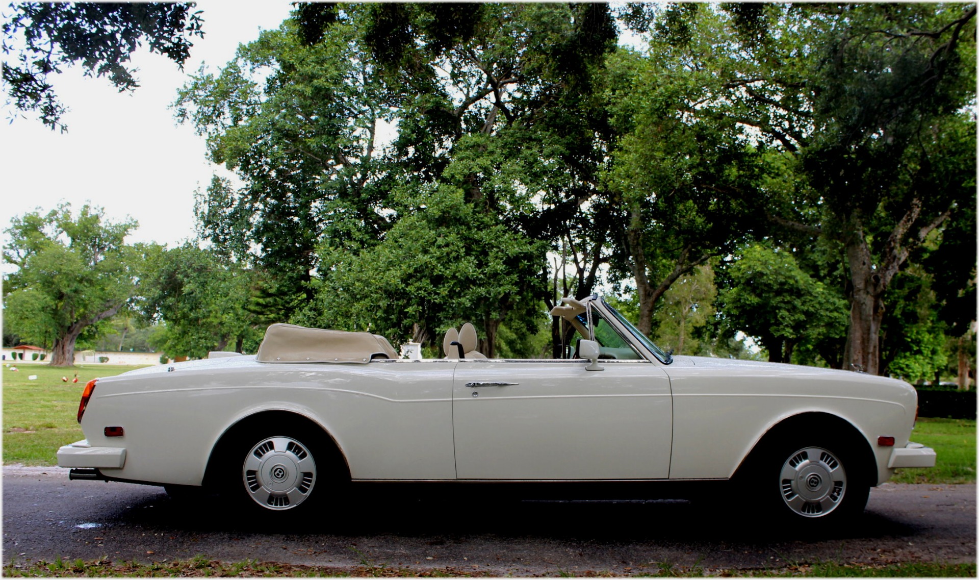Used-1994-BENTLEY-Continental-IV-Second-Series