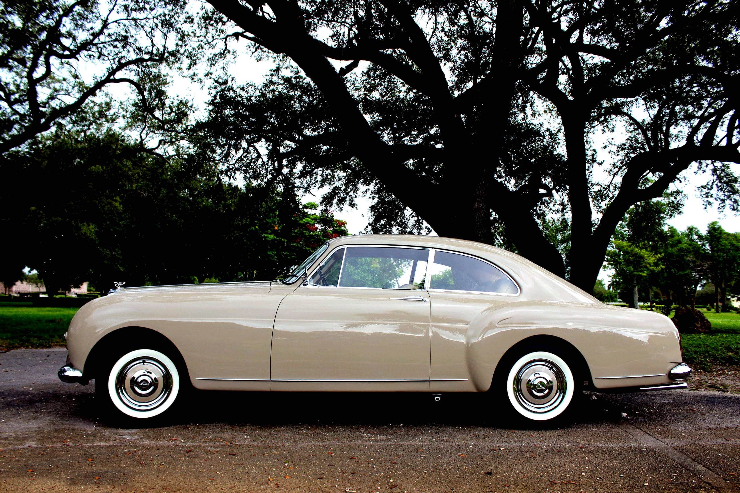 1956 Bentley S Continental Fastback - BC36LAF